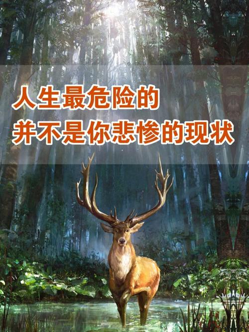 东莞婚外遇调查取证-50集情感故事书写，带你体验百态人生