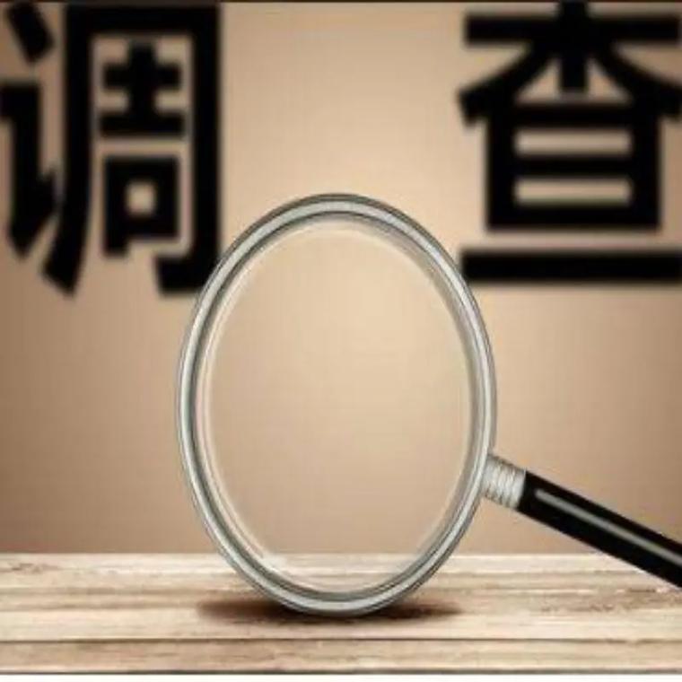 民间调查公司有哪些_民间调查机构_民间调查公司